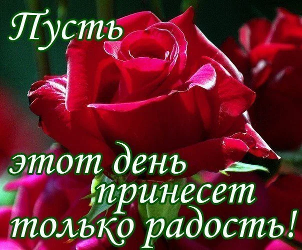SBj6aq9crWs.webp