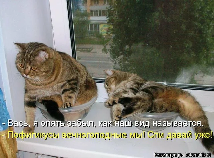 scale_1200 (10).webp