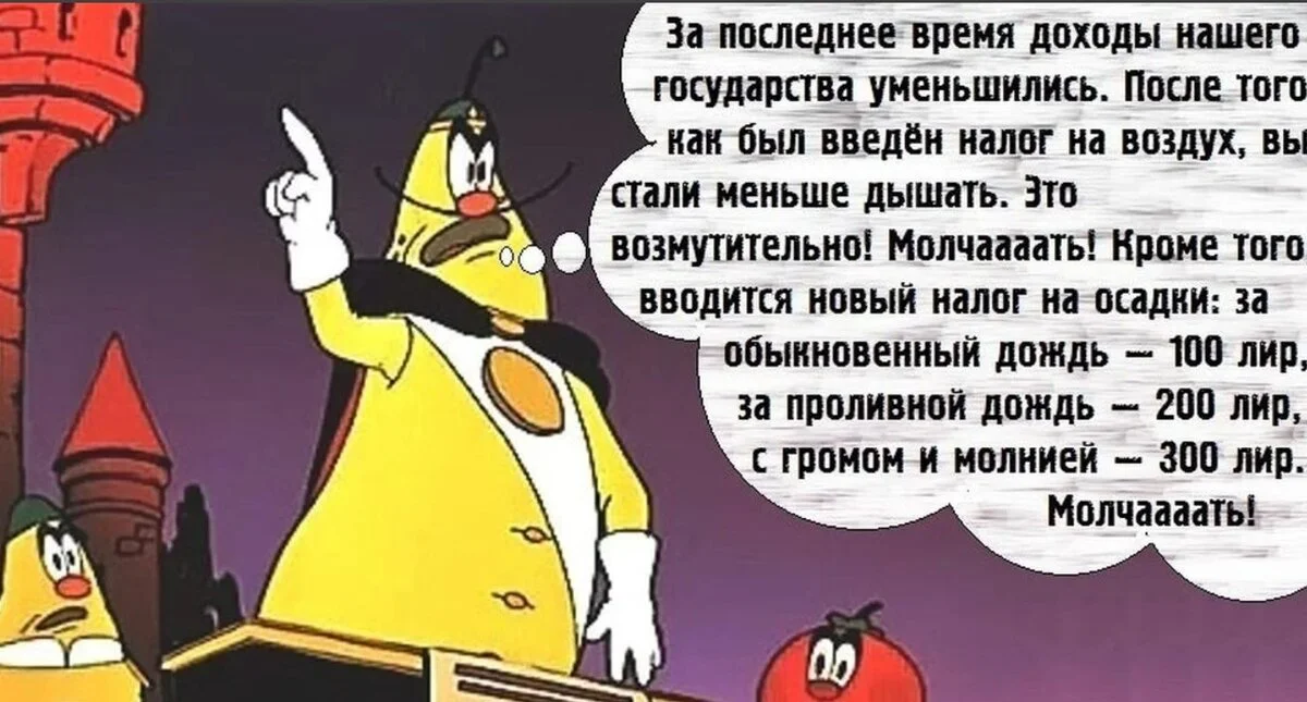 scale_1200 (11).webp