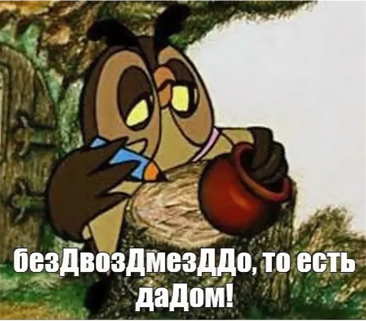 scale_1200 (12).webp