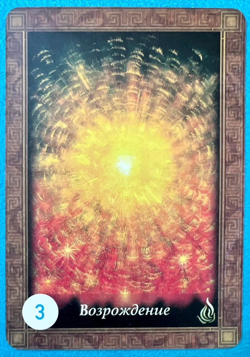 scale_1200 (14).webp