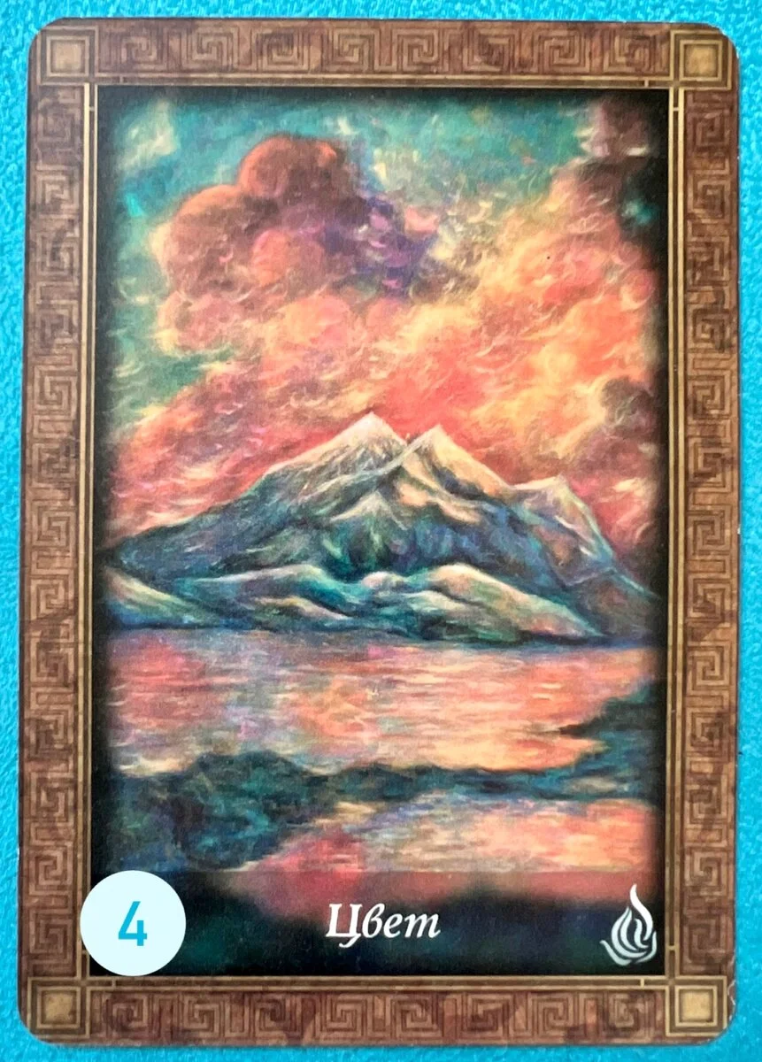 scale_1200 (15).webp