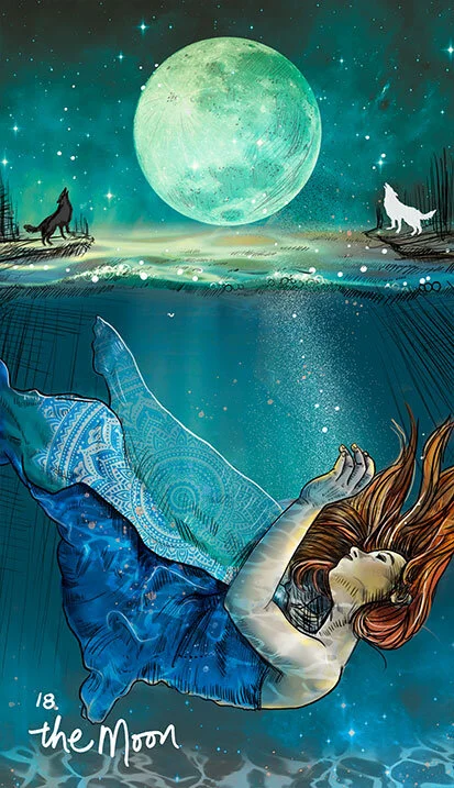 scale_1200 (17).webp