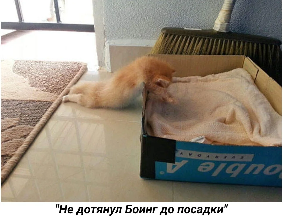 scale_1200 (9)1.webp