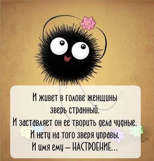 scD8fpiPAF8.webp