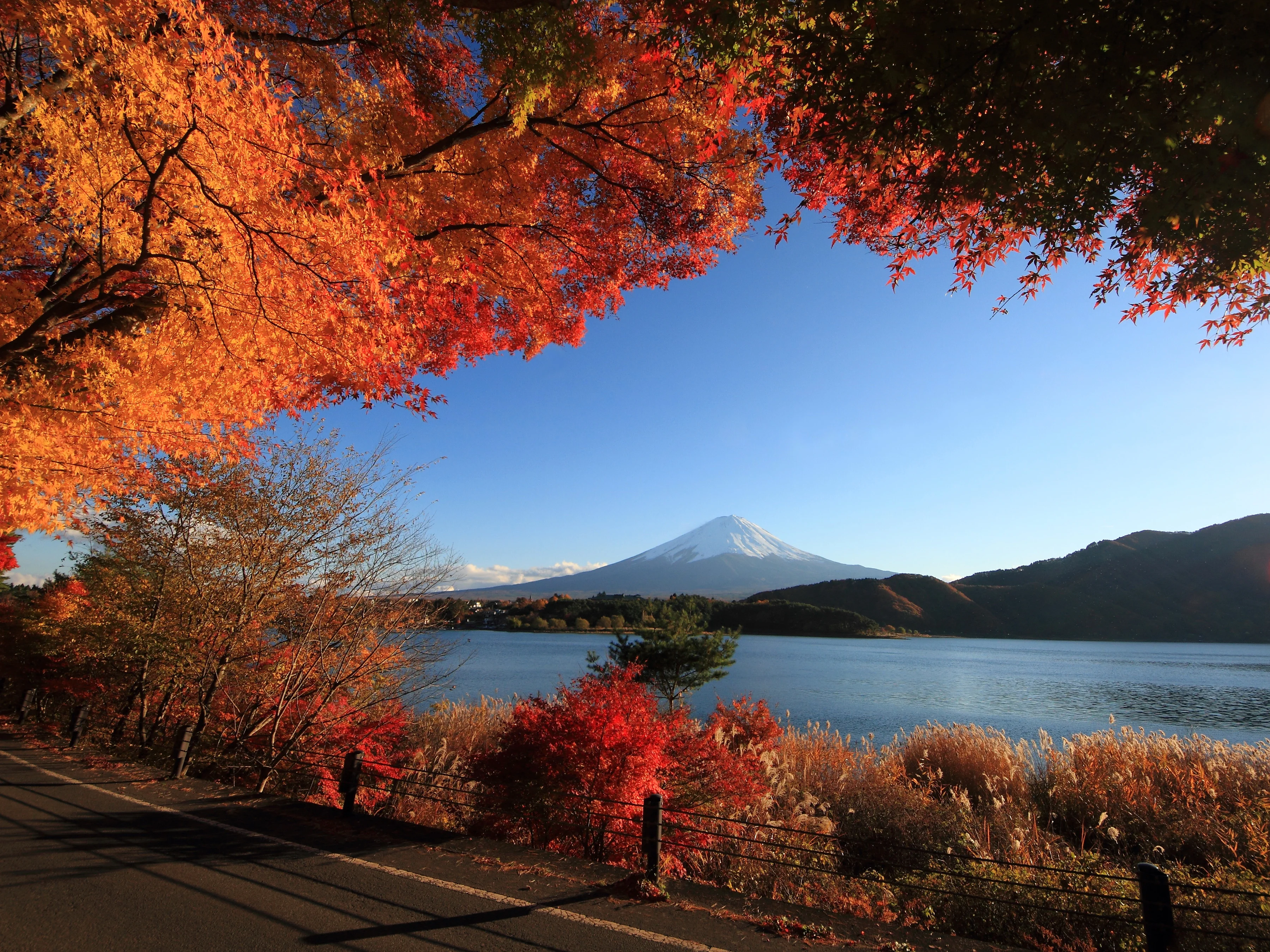 Scenery_Autumn_Mountains_438813.webp