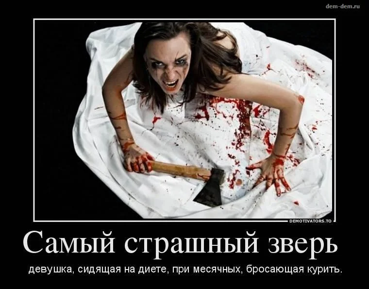 scet53lyyca.webp