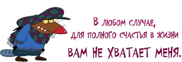 счасчтье.webp
