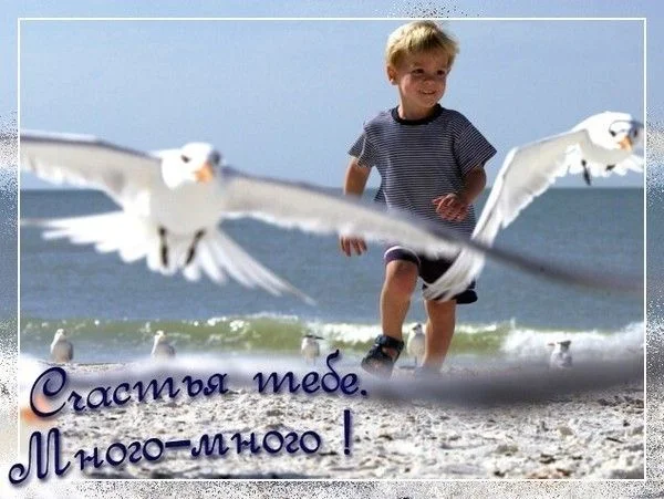 счастья.webp