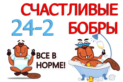 счастливые бобры.webp