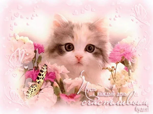 счастливый день 1.webp