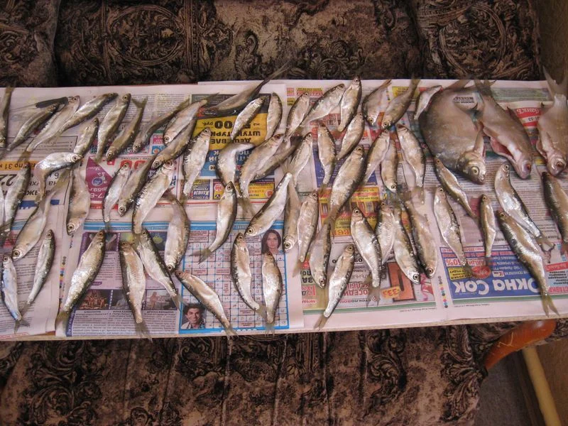 щеклеявесна14 вяленая.webp