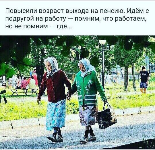 счв.jpg