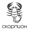 scorpion.webp