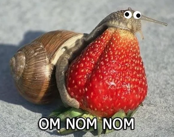 Screen Shot 2015-03-15 at 17.13.23.webp