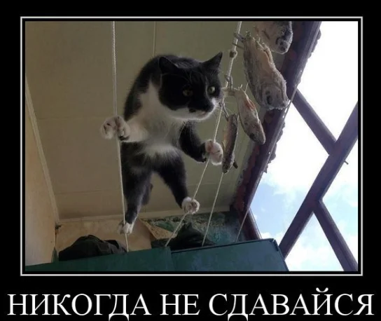 Screen Shot 2015-04-03 at 00.01.38.webp