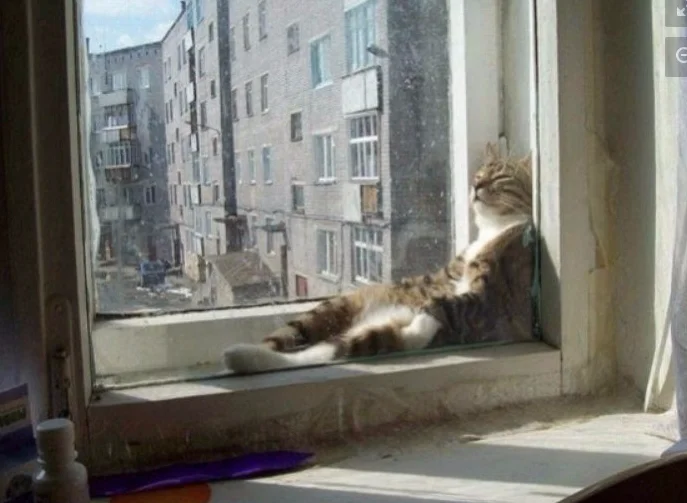 Screen Shot 2015-04-21 at 00.41.50.webp