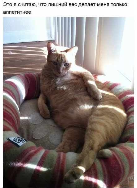 Screen Shot 2015-04-21 at 00.55.18.webp