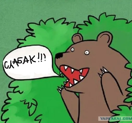 Screen Shot 2015-05-05 at 08.03.30.webp