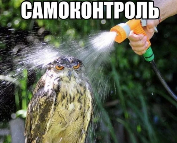 Screen Shot 2017-06-19 at 2.52.45 PM.webp