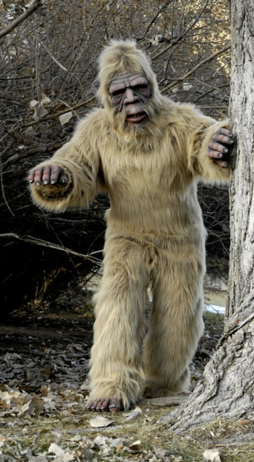 Screen Shot 2021-09-25 at 11.40.52.webp