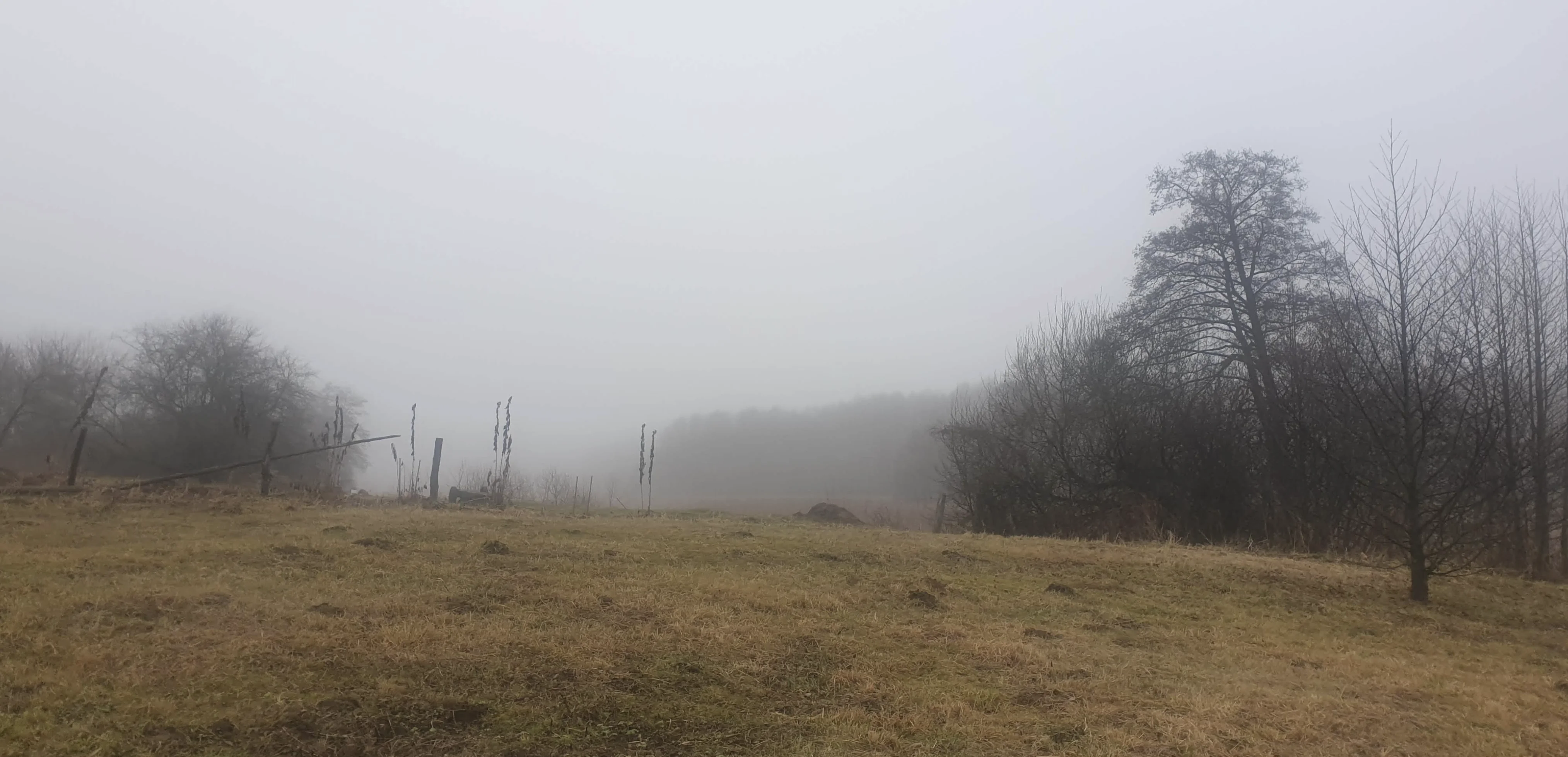 Screen Shot 2021-11-27 at 21.13.00.webp