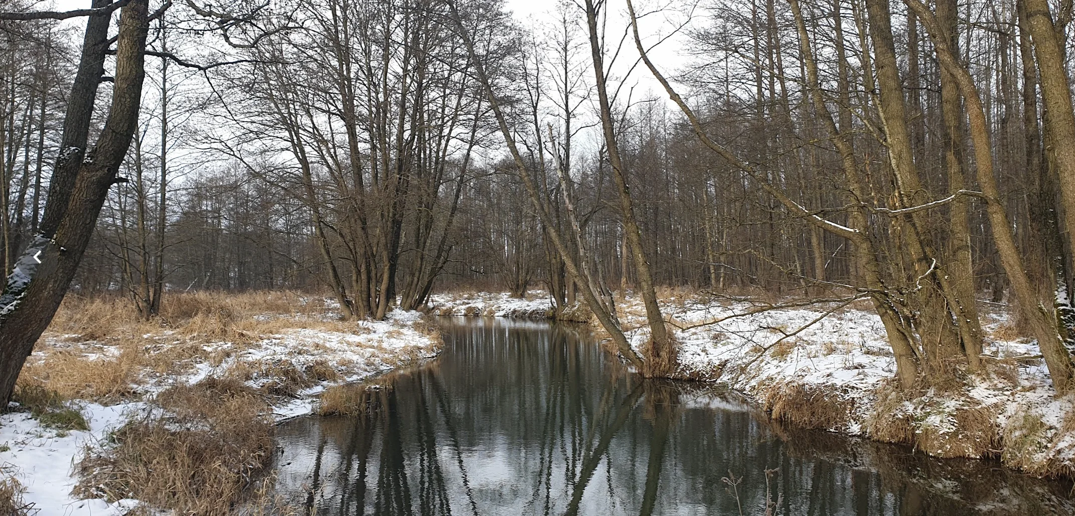 Screen Shot 2021-12-05 at 20.29.49.webp