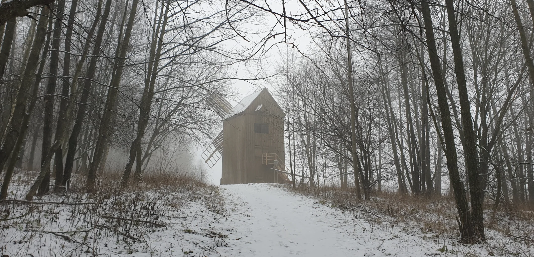 Screen Shot 2021-12-05 at 21.10.42.webp