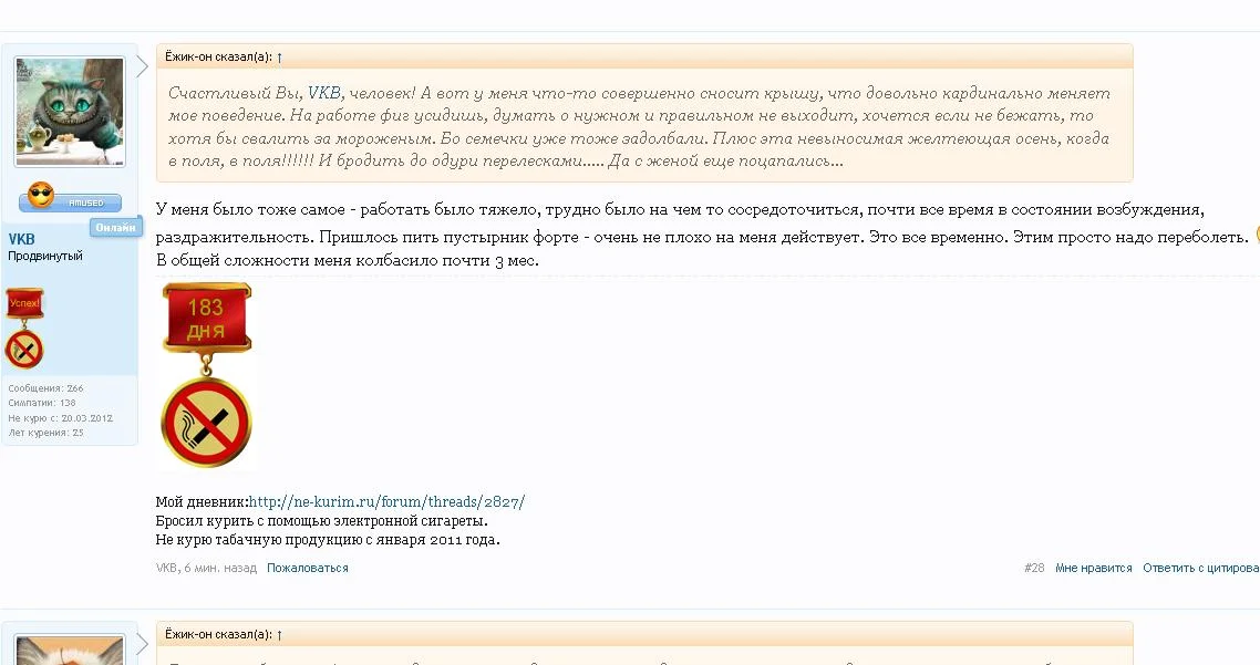 screen.webp