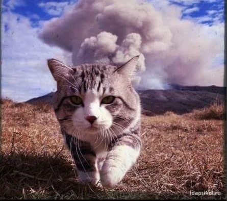 Screenshot (32).webp