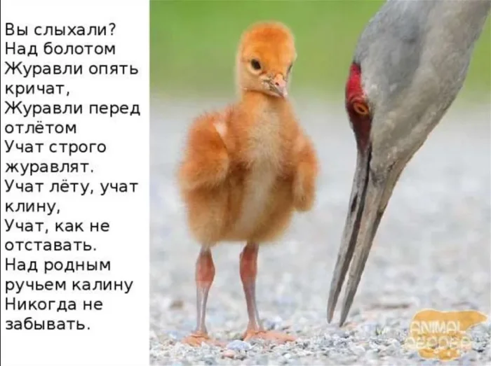 Screenshot (35).webp