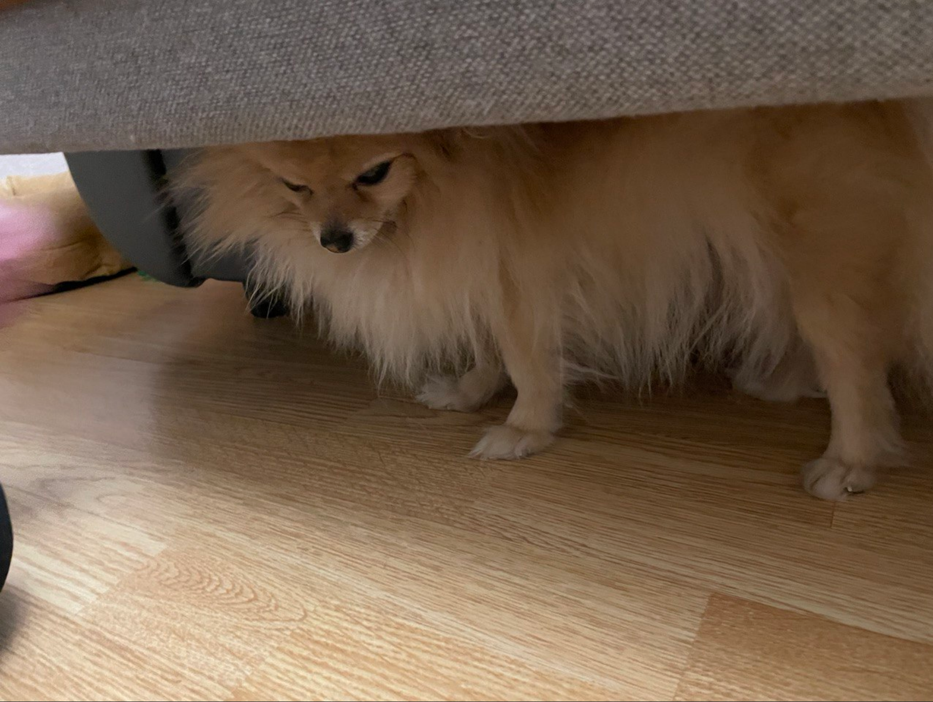 Screenshot from 2023-01-24 18-00-02.png