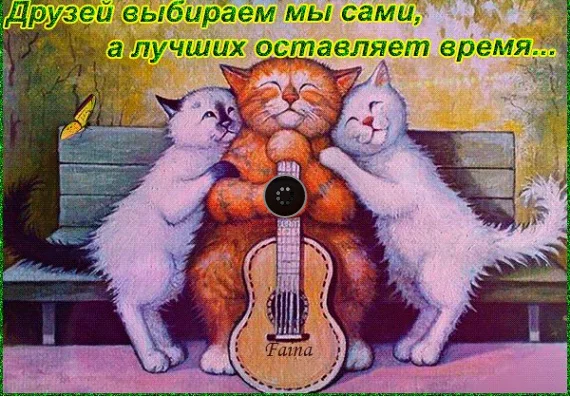 Screenshot_15.webp