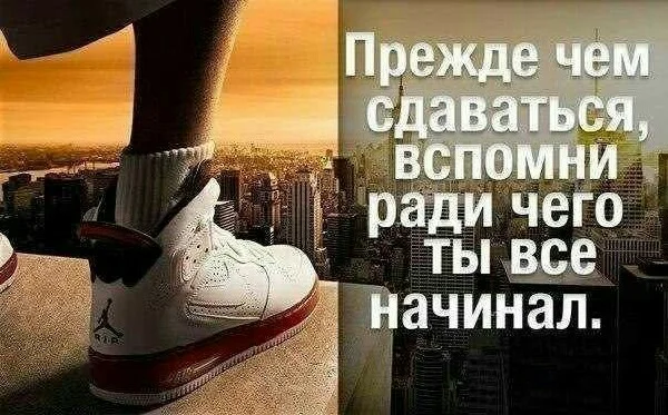 screenshot_2016-4-15-6-24-12.webp