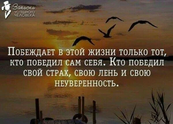 screenshot_2016-4-28-20-15-42.webp