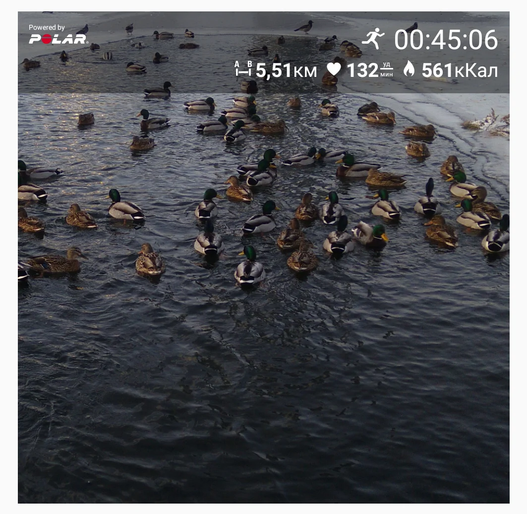 Screenshot_2018-01-29-10-57-37-877_fi.polar.polarflow.webp