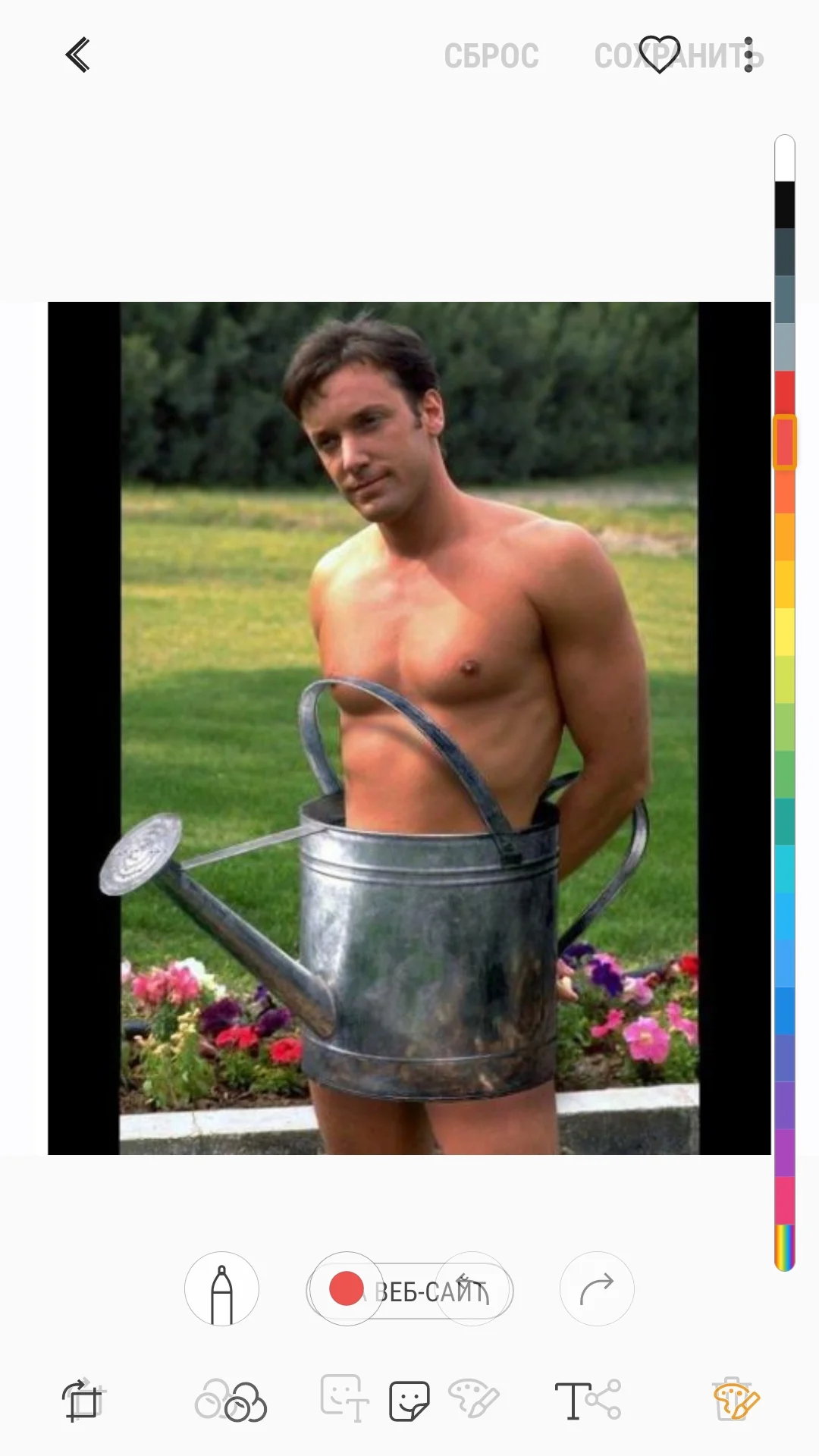 Screenshot_20181115-212847_Photo Editor.webp