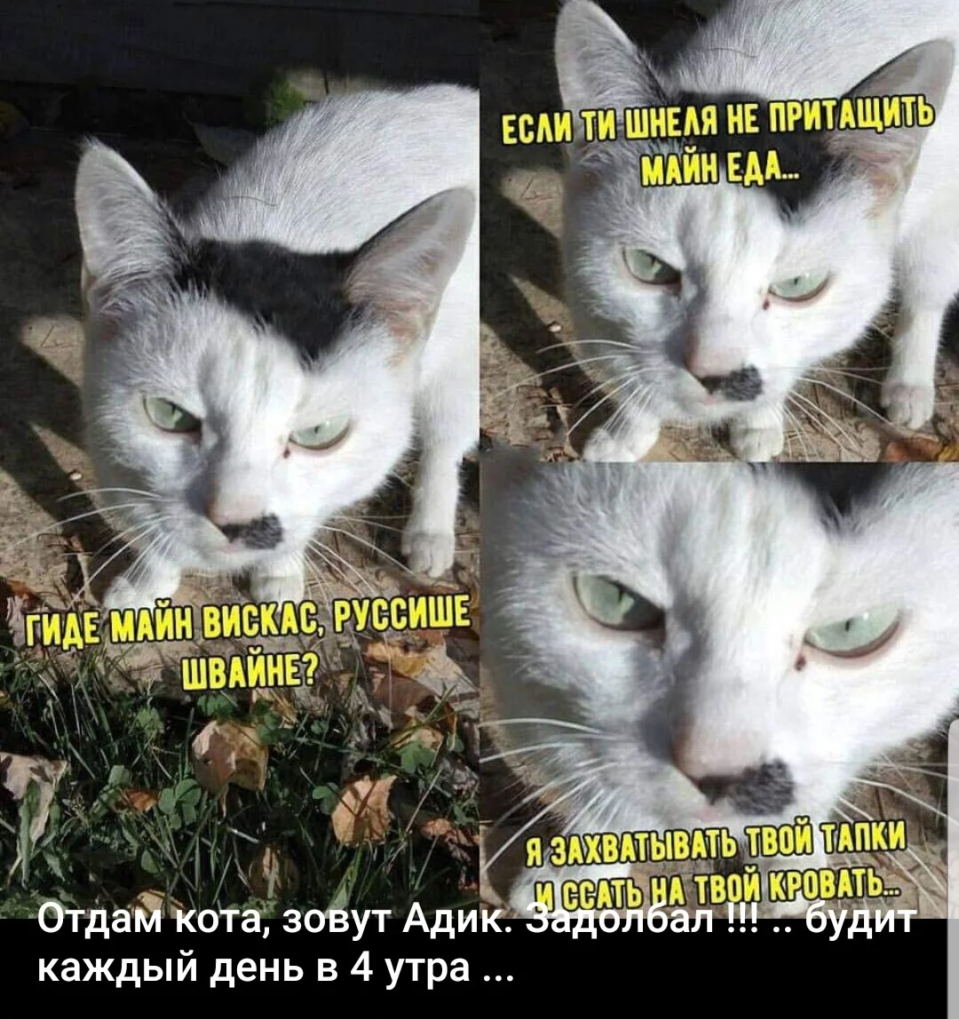 Screenshot_20181203-152622_Facebook (2).webp