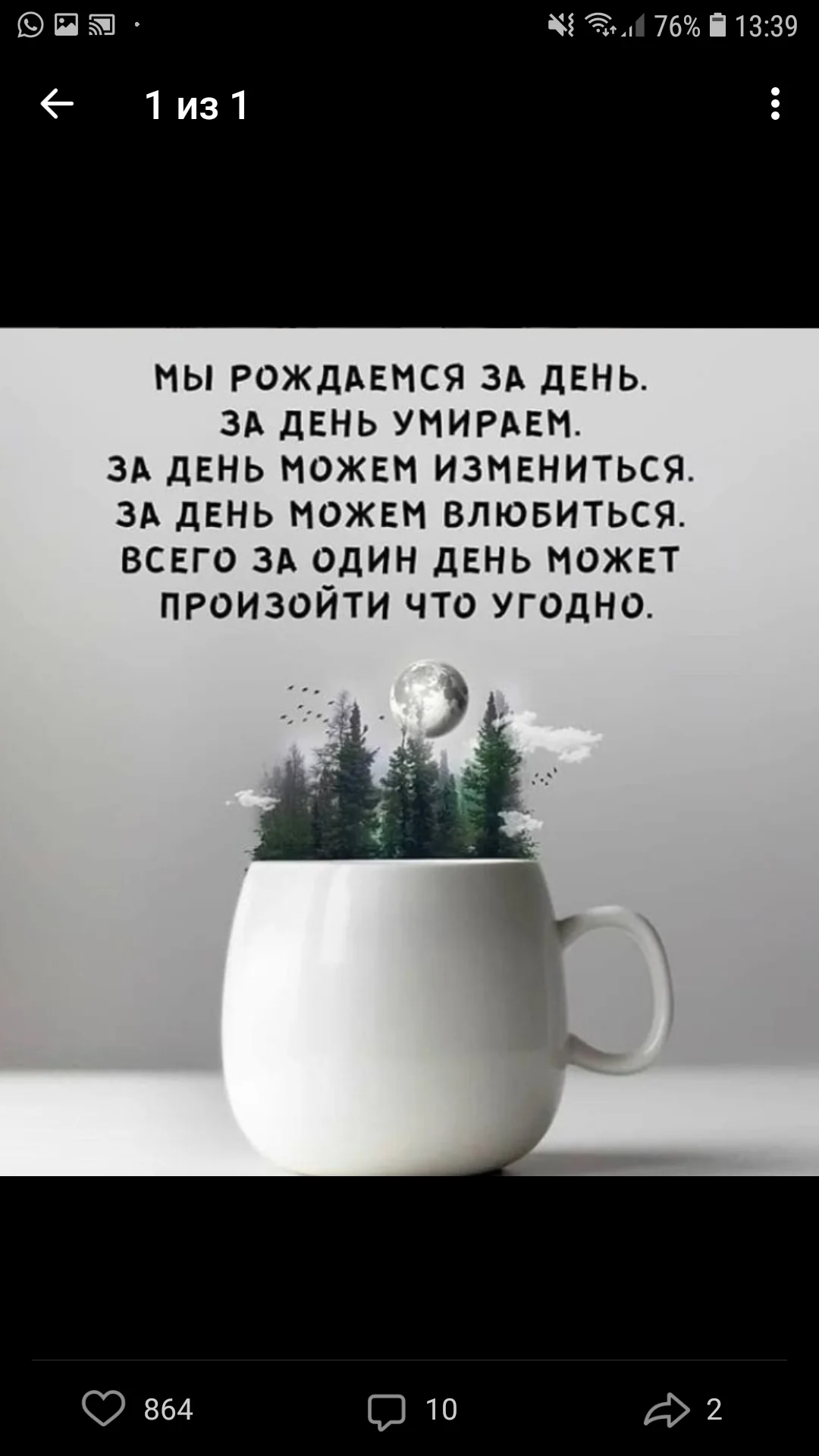 Screenshot_20181206-133937_VK.webp