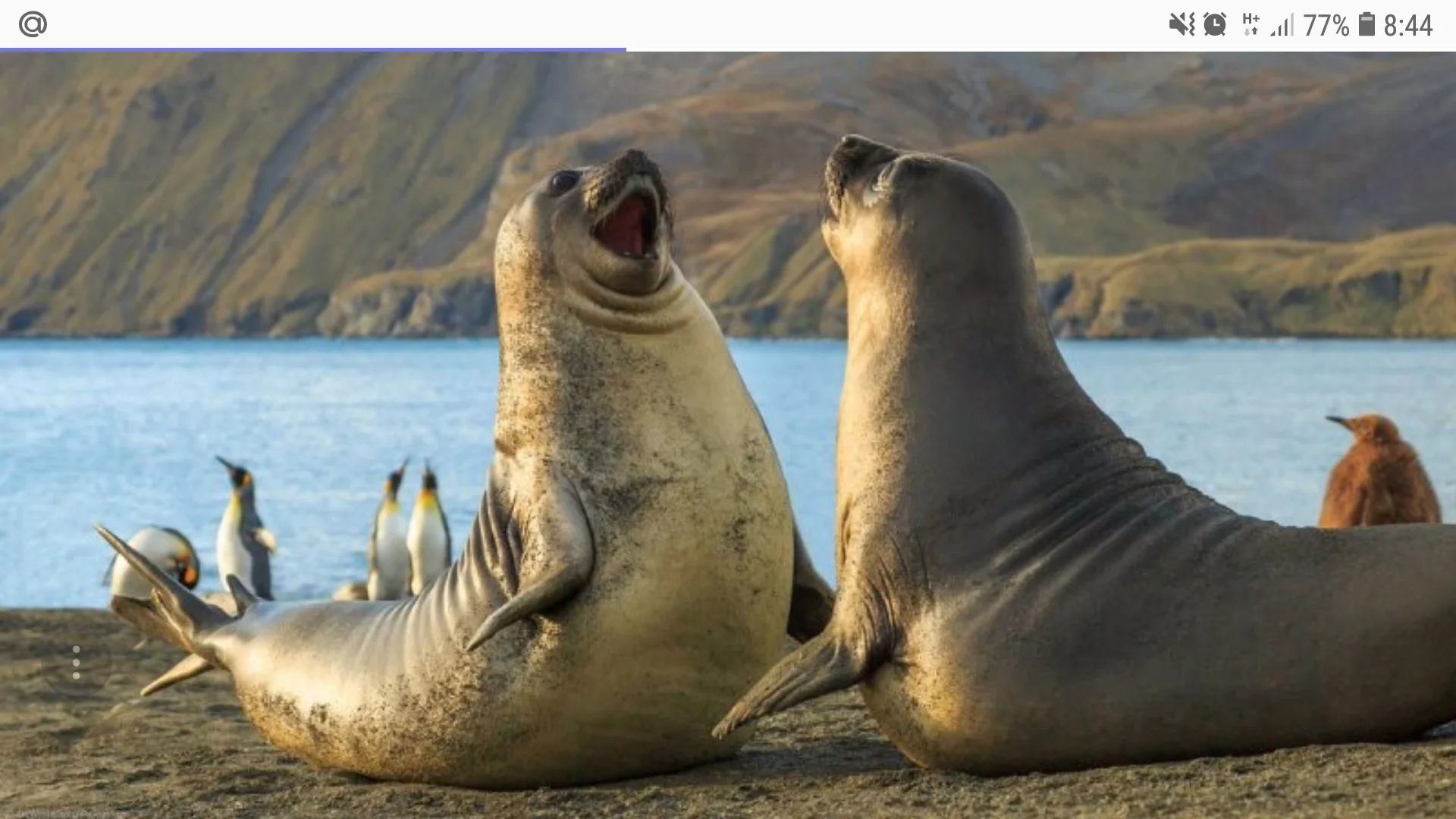 Screenshot_20181228-084459_Samsung Internet.webp