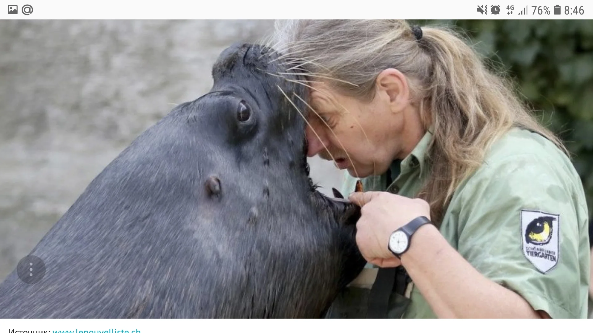 Screenshot_20181228-084647_Samsung Internet.webp