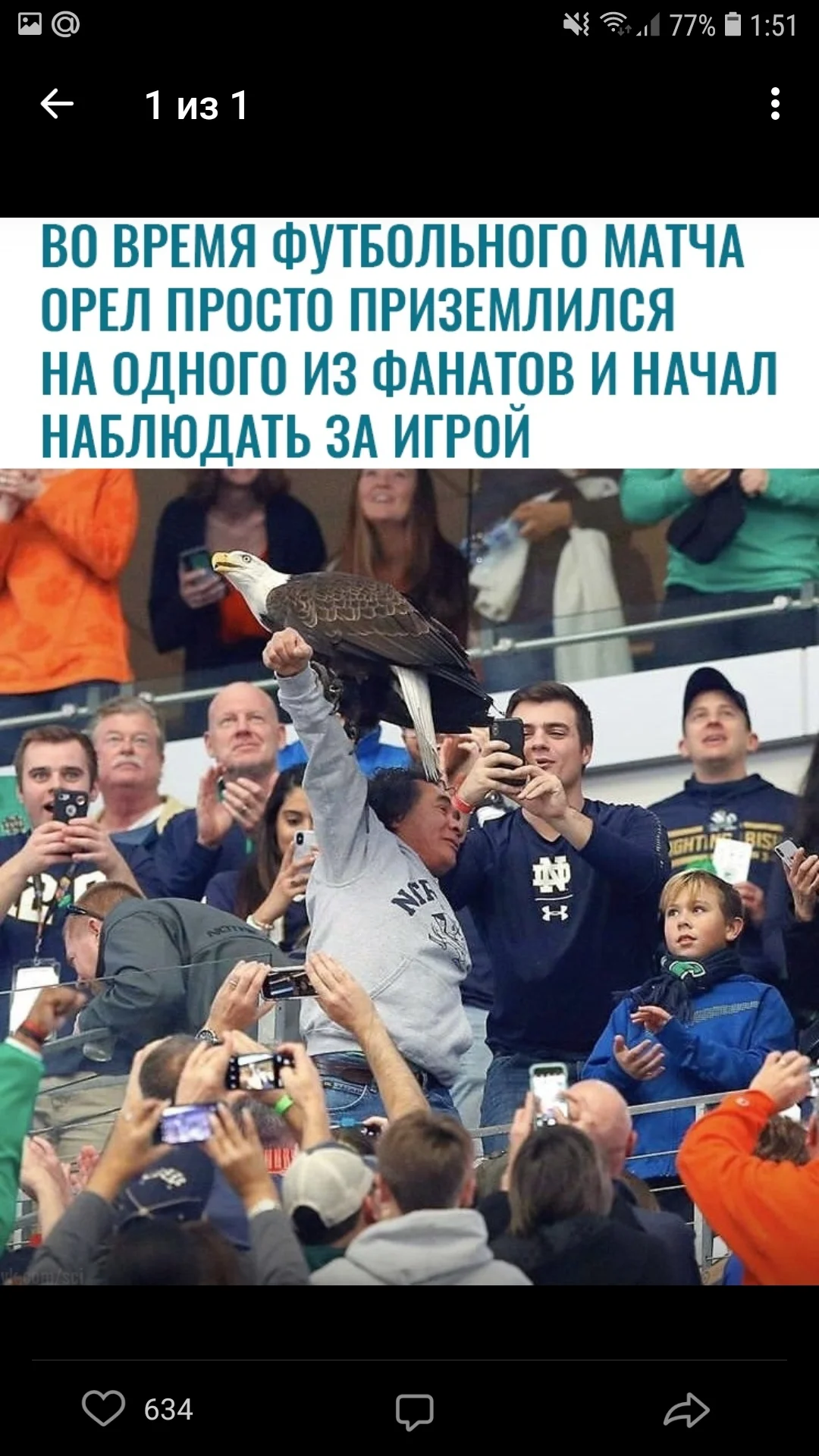Screenshot_20190105-015114_VK.webp