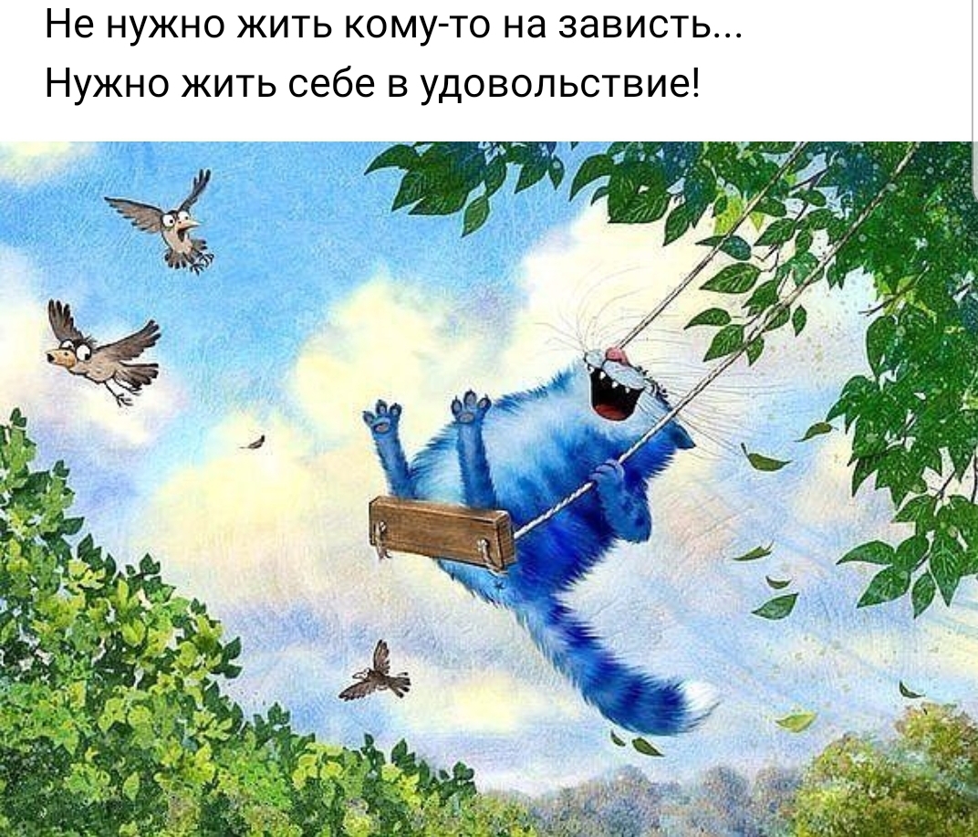 Screenshot_20190728-093801_VK.jpg