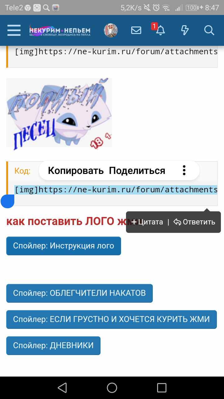 Screenshot_20191013-084715.png