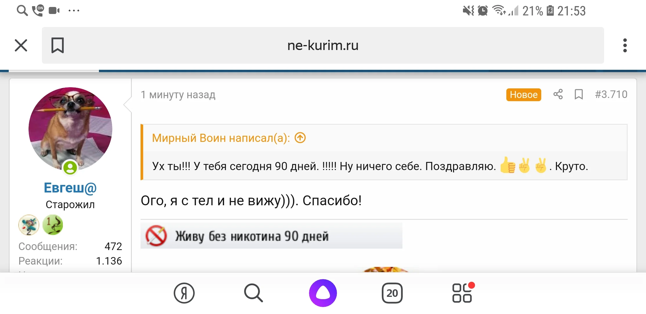 Screenshot_20191017-215350_Yandex.webp