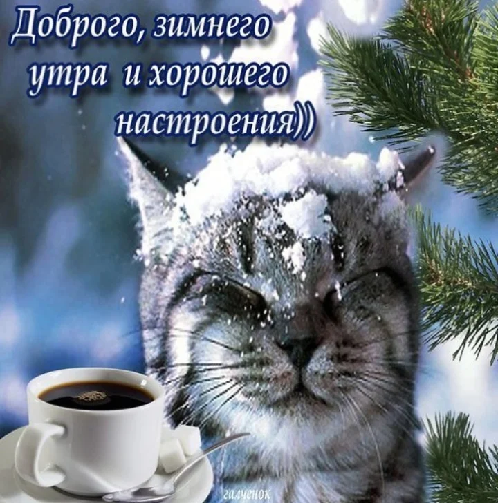 Screenshot_20200114-103155_WhatsApp (1).jpg