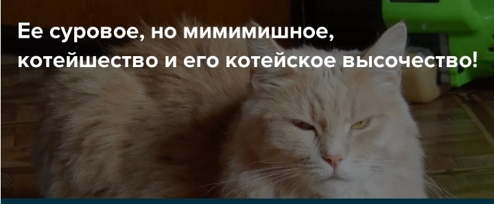 Screenshot_20200120-200542_Yandex.jpg