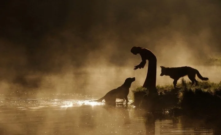 Screenshot_20200124-201113_Samsung Notes.webp