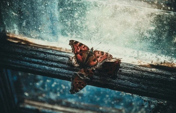 Screenshot_20200124-201255_Samsung Notes.webp