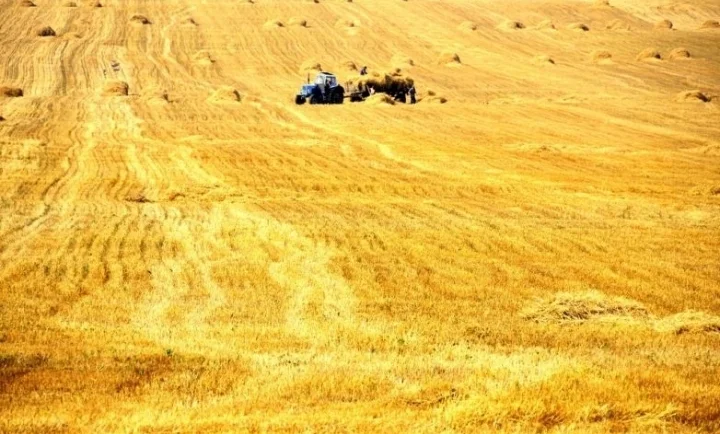 Screenshot_20200124-201308_Samsung Notes.webp